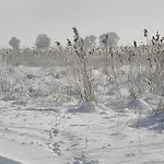 Zakatek Zurawi Świnoujście