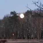 Parque de Campismo Zakatek Zurawi Świnoujście