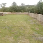 Zakatek Zurawi *