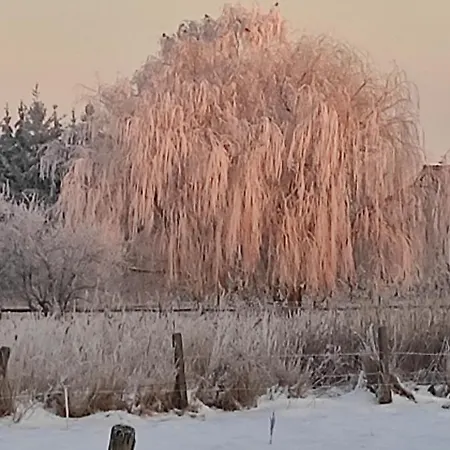 Zakatek Zurawi