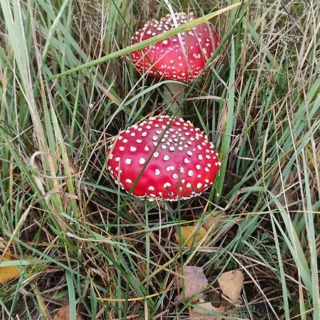 Zakatek Zurawi * Świnoujście