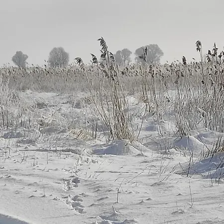 Zakatek Zurawi Świnoujście